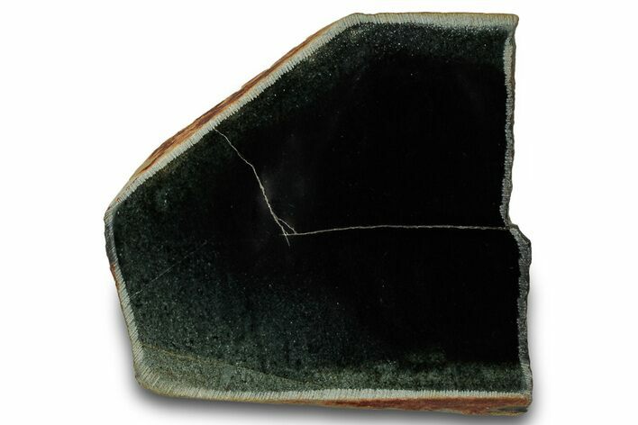 Polished Black Jade (Actinolite) Slab - Western Australia #314578